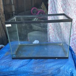 20 Gallons Fish Thank