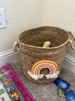 Kids Basket