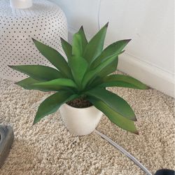 fake plant