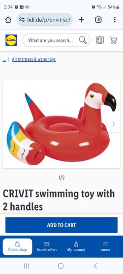 Huge Inflatable Parrot