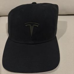 Brand New Tesla T Logo Hat. Retail $30 Usually 