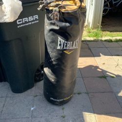 Punching Bag