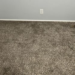 Carpet 10’9” X10’. Very Nice Came Out Of My Office 