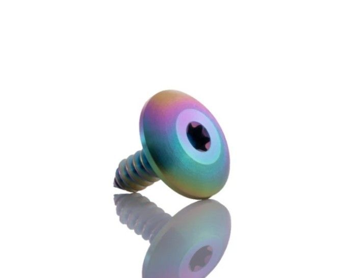 Titanium License Plate Screws 