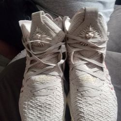 LeBron Nike Shoes