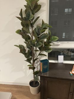 tree for Living Room