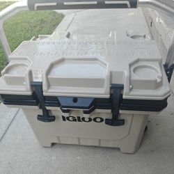 Igloo 24qt Cooler 
