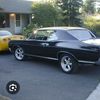 Muscle-car-addict