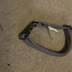Brand new dog collar never been worn