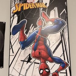 Cuadro de Spiderman 