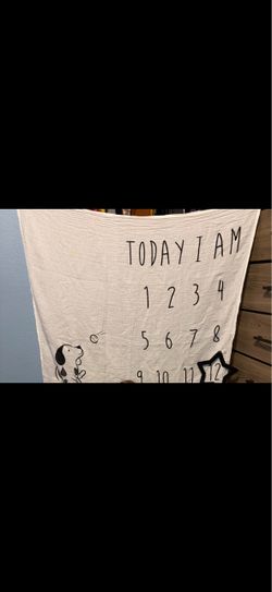 Baby Monthly Milestone Blanket
