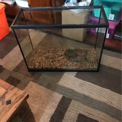 39 Gallon Fish Tank
