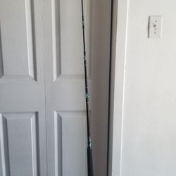 Fishing rod And Reel 
