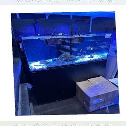 alone civil High-End Aquarium Setup - Superior Quality Choice