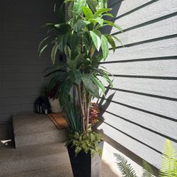 Indoor Artificial Palm 