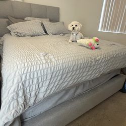 Queen bed frame with drawers and 8in box spring set