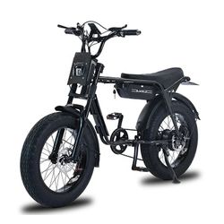 Fat Tire E-bike