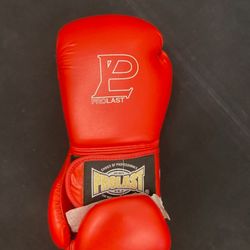 BOXING GLOVES ProLast 