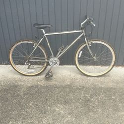 Specialized rock hopper for sale 50 bucks