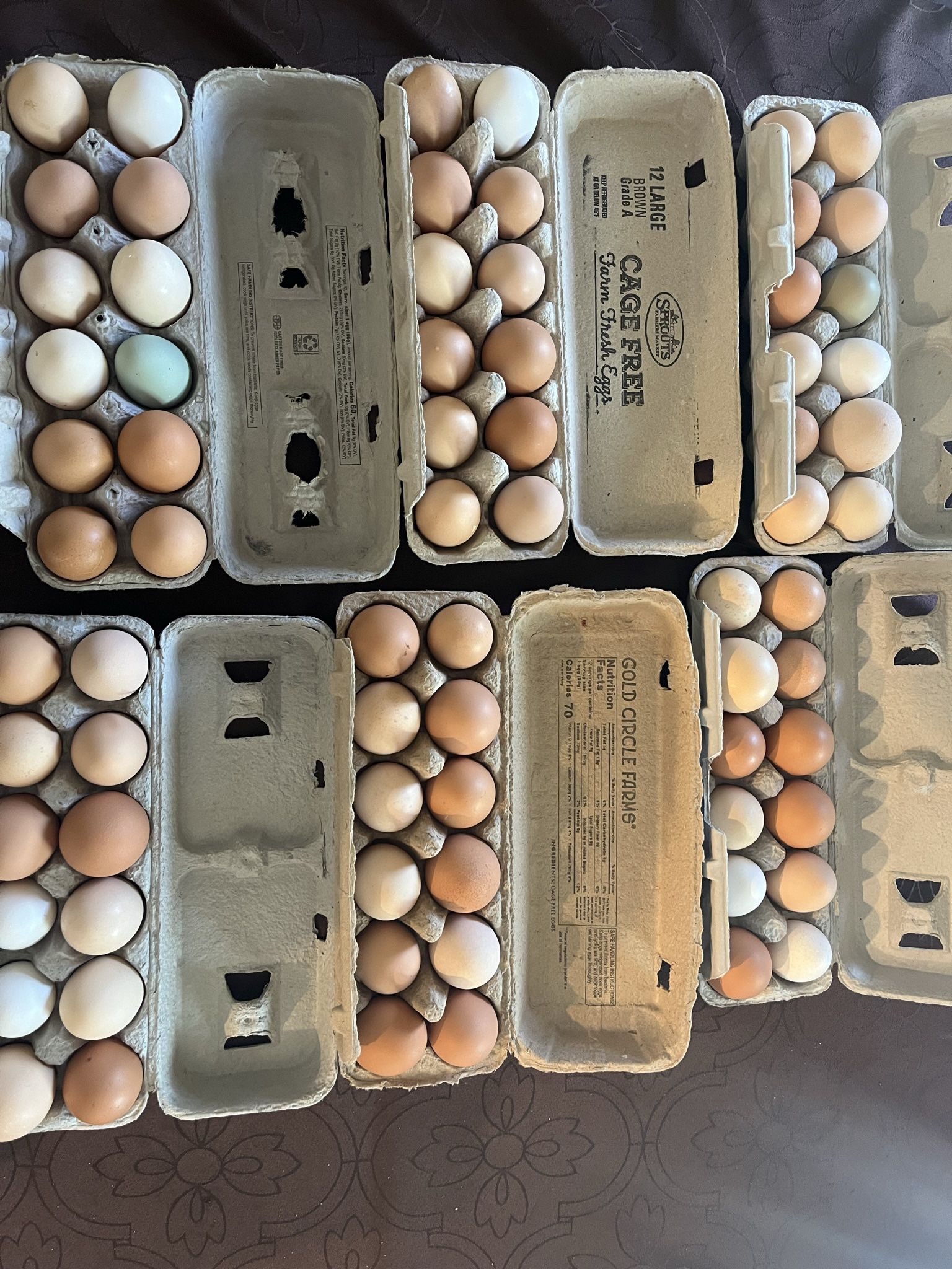 Eggs