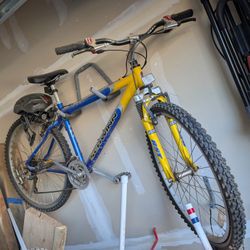 Schwinn Bike