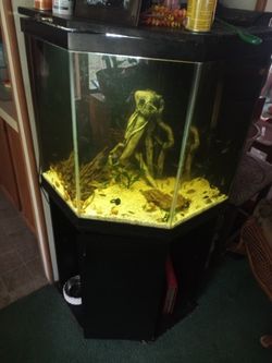 44 gallon corner tank