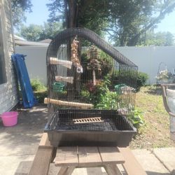 Bird Cage