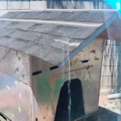 Dog House For Medium of Large Dog