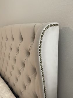 Mariah eastern king velvet 2024 upholstered panel bed