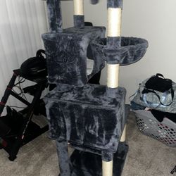 Cat Stuff All Included Negotiable