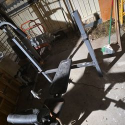 Weight Bench 