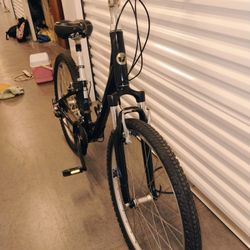 LIV Women's Bike