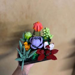 Succulent Lego