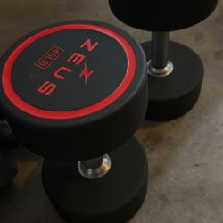 45 Pound Dumbbells 