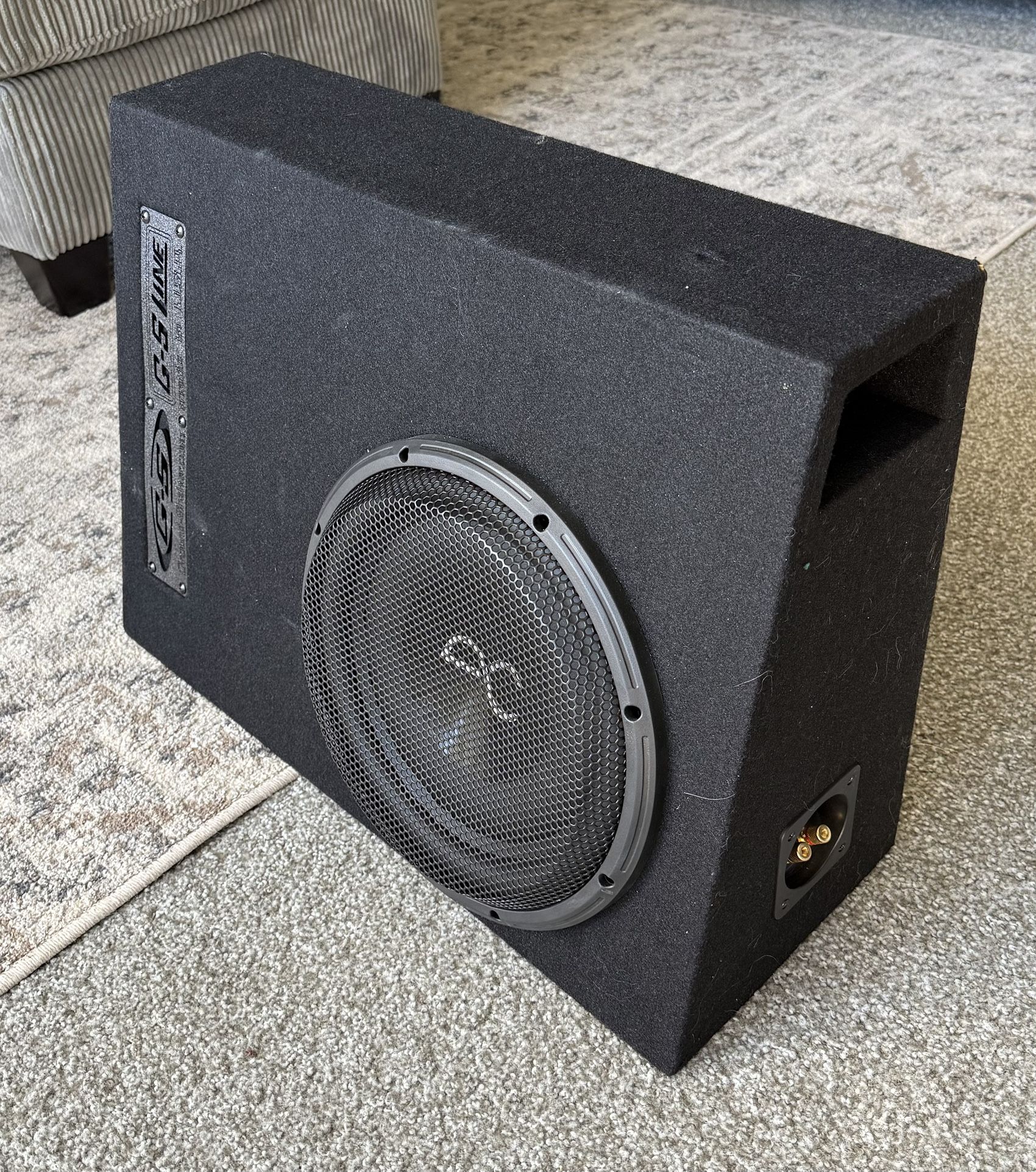 Ground Shaker + Audio Control 12” Sub