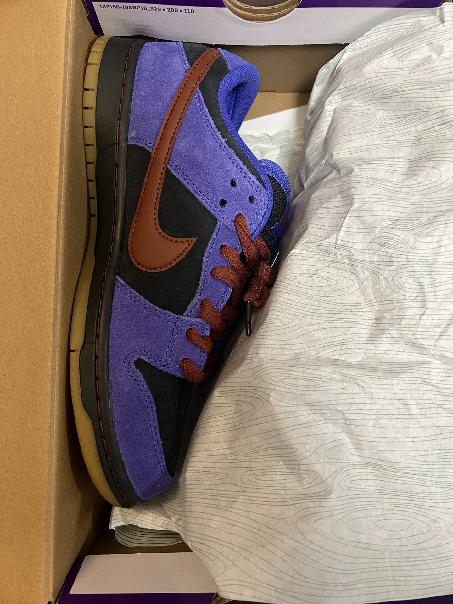 Nike SB Dunk Low Pro 