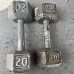 20 Lbs Dumbbells 