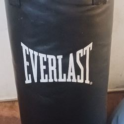 Punching Bag