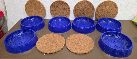 Pigeon Nesting Bowls / Pigeons / Pigeon / Birds