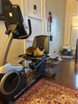 Exercise Bike