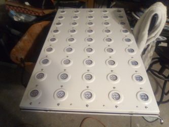 Ragin kale grow LED lites