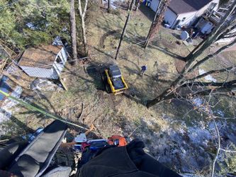 Trees 🌲 & Yard Leaveling