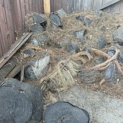Free Fire Wood Stumps 
