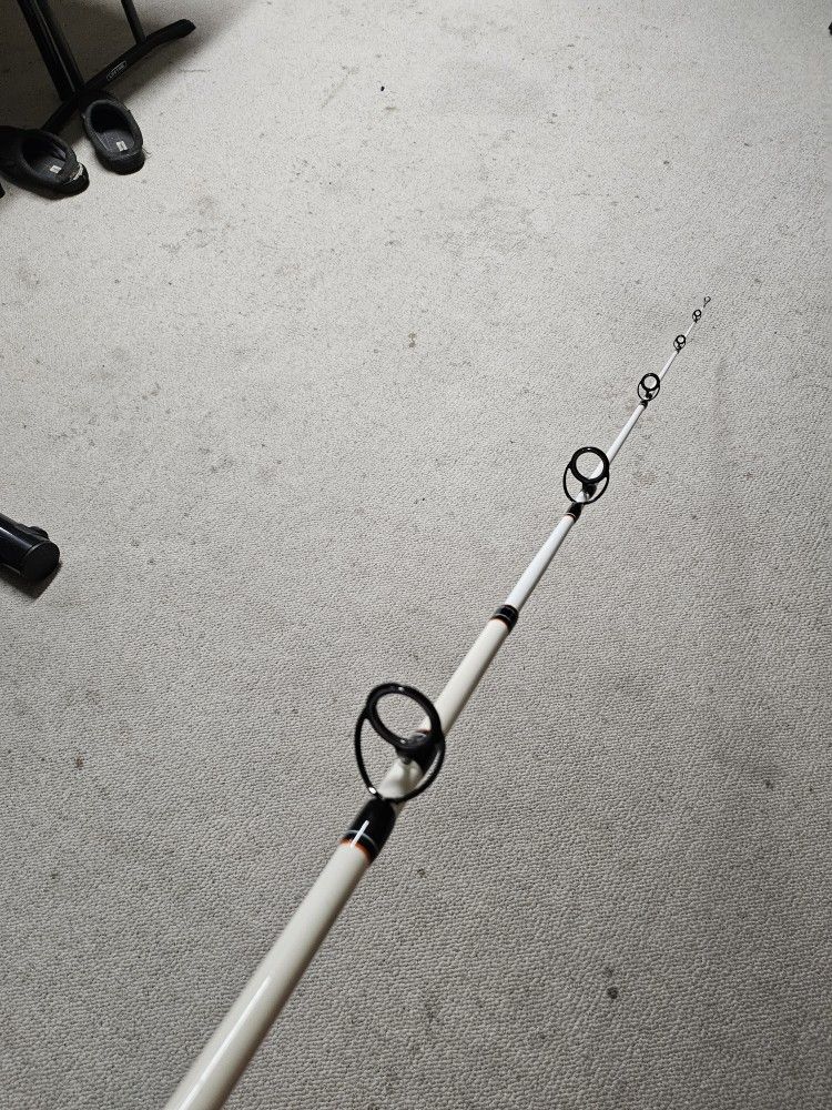 Berkley Big Game Spinning Rod