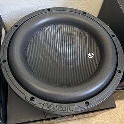 12” Subwoofer 
