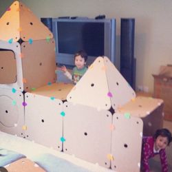 Children’s Fort Kit  30 Dollars