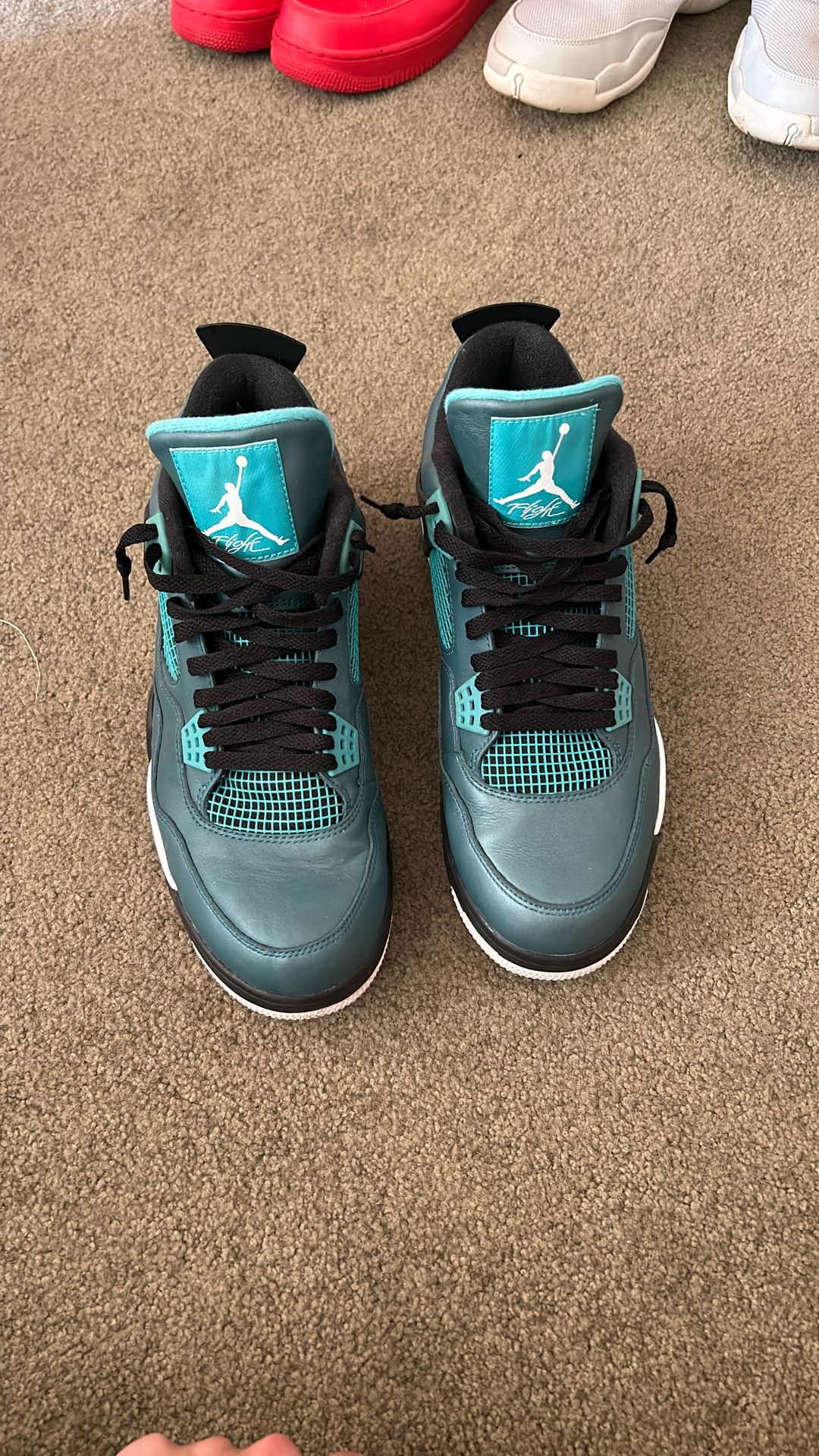 Jordan 4 Teal Size 12