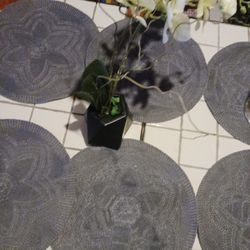 Kitchen Mats ECT price lowered