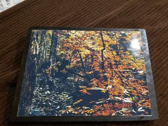 9x12 Taken Myself At Dusk N Carolina Woods Wood Panel Ready To Hang One Of A Kind