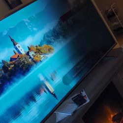 65" LG TV WEB OS SMART TV